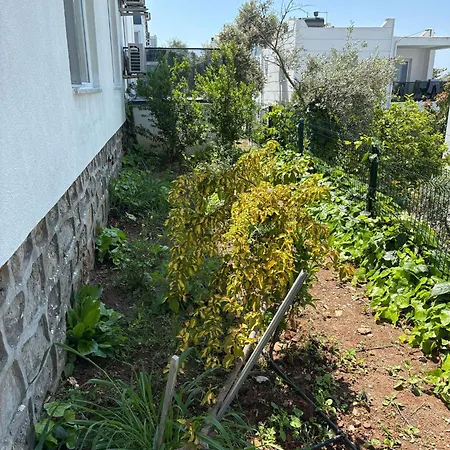 Вилла The Moon *